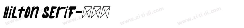 Hilton serif字体转换